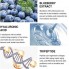 Сыворотка для лица LANBENA Blueberry Hyaluronic Acid Serum на основе экстракта черники 15 г
